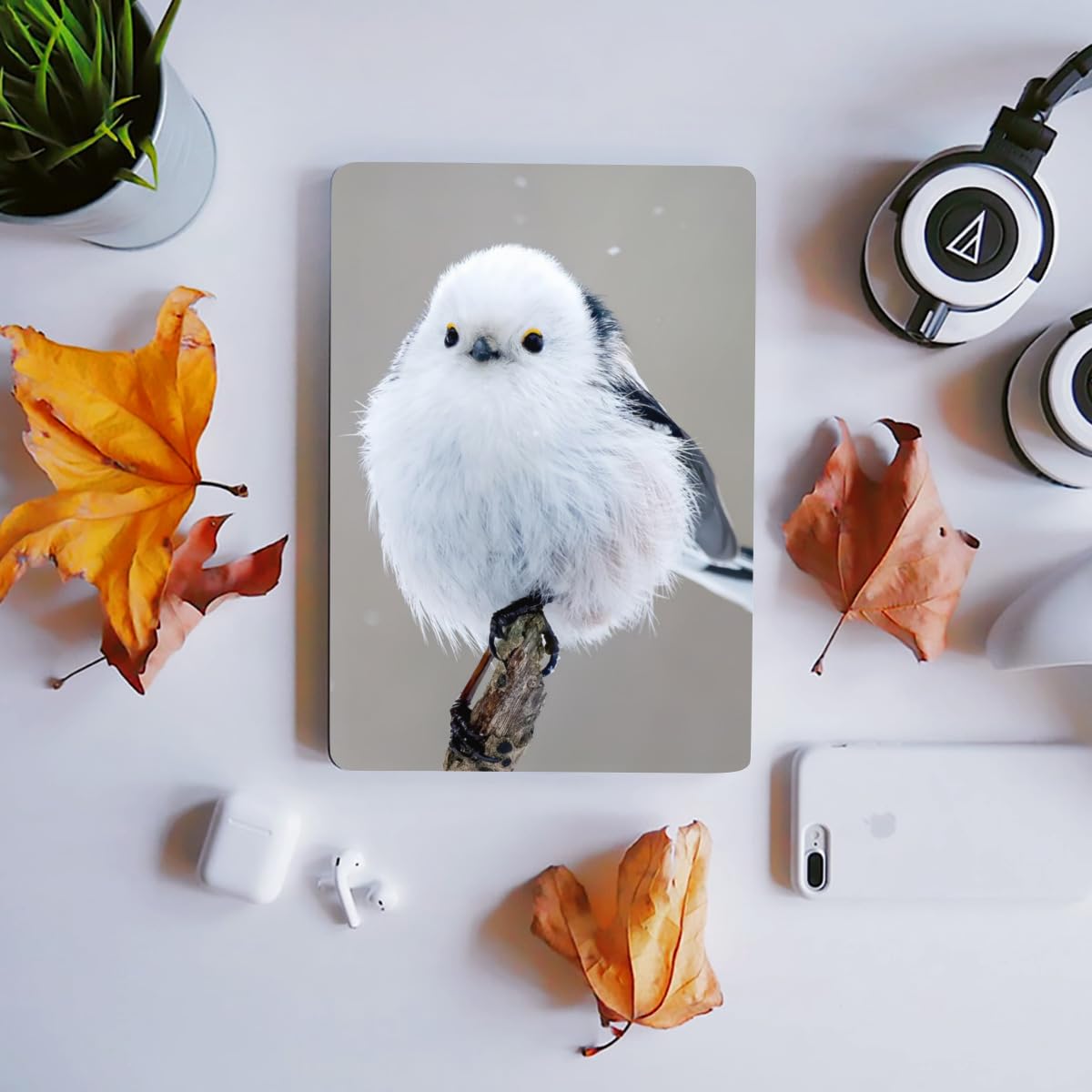 Amazon.co.jp: クリスタルステッカー シマエナガ かわいい 鳥